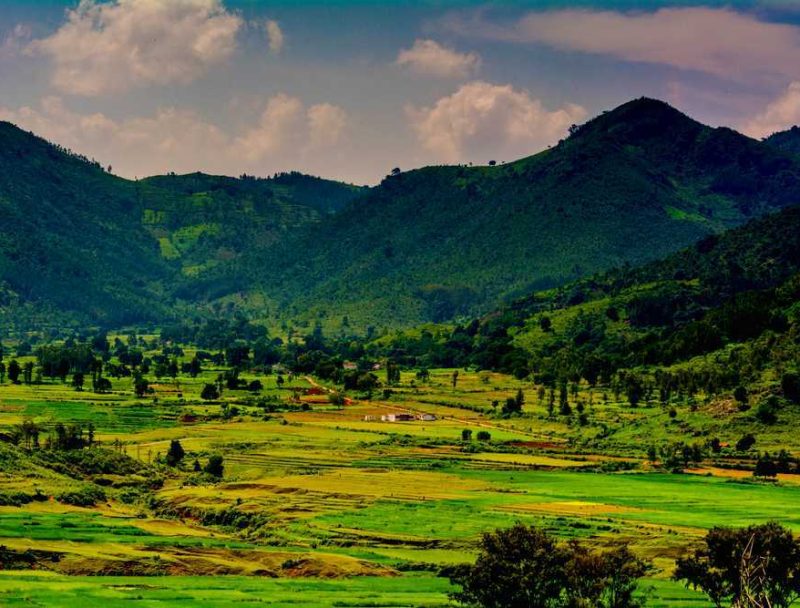 ARAKU-VALLEY